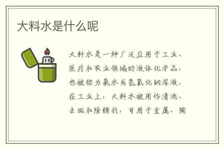 大料水是什么呢(如何做大料水)